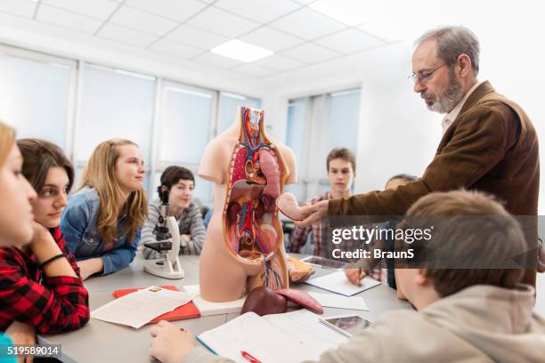 group of students on an anatomy class in high school. - biologisch stockfoto's en -beelden