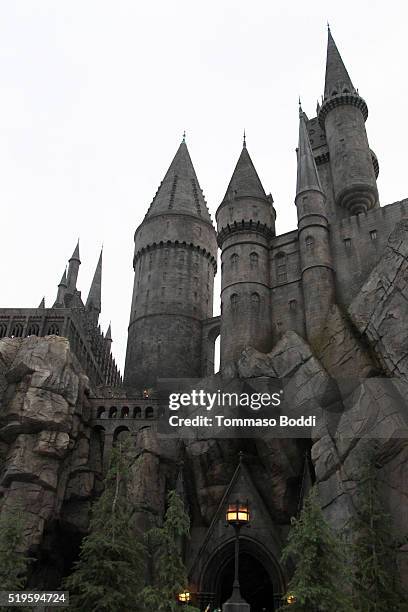 General view of the atmosphere during the official opening of "The Wizarding World Of Harry Potter" At Universal Studios Hollywood on April 7, 2016...