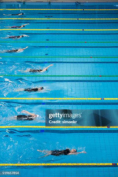 female swimmers in swimming pool - swimming competition stock pictures, royalty-free photos & images