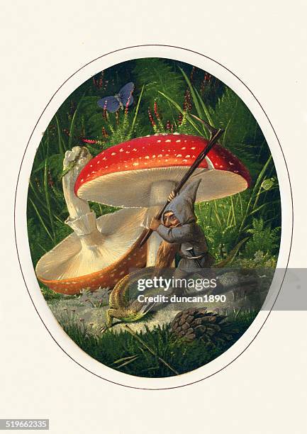 the battling gnome - toadstool stock illustrations