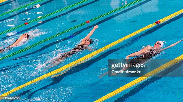 female swimmer swimming - zwembadlaan scheidingslijn stockfoto's en -beelden