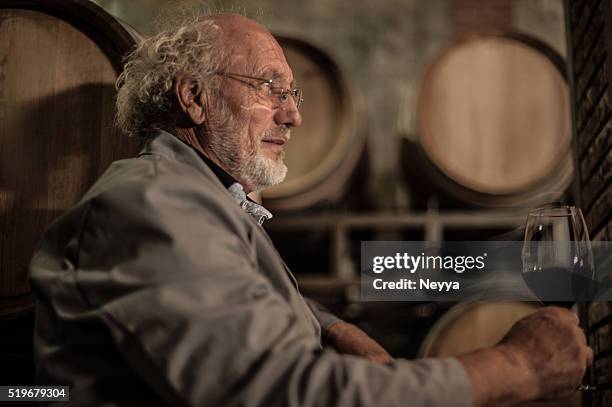 senior homme avec barbe tenant un verre de vin rouge - vignerons photos et images de collection