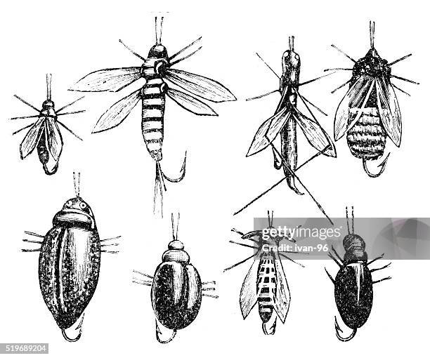fishing lures - fishing tackle box stock illustrations