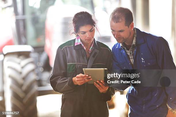 famers couple on farm  looking at a tablet. - couple farm photos et images de collection