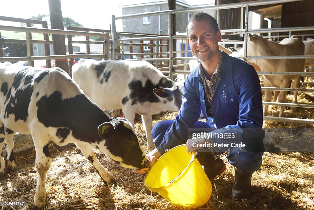 Man smiling at camera on farm feeding calves