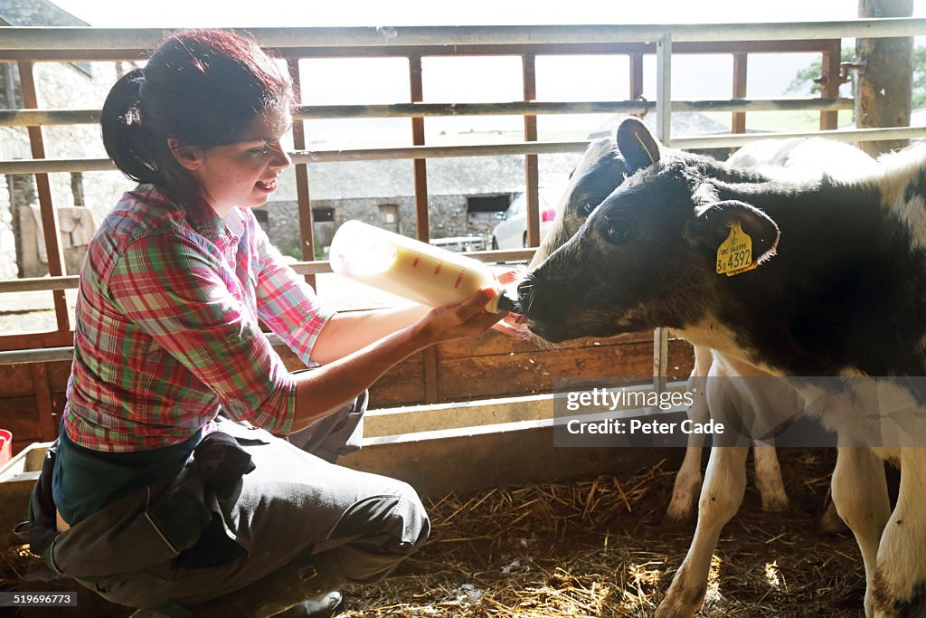 Woman on farm bottle feeding calves