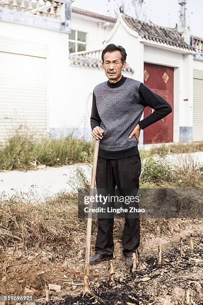 asia farmers - linghe zhao stock pictures, royalty-free photos & images