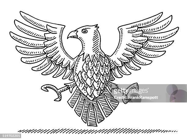 falcon bird heraldic symbol drawing - falcons stock illustrations