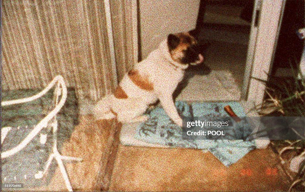 Photo released 08 February during the O.J. Simpson