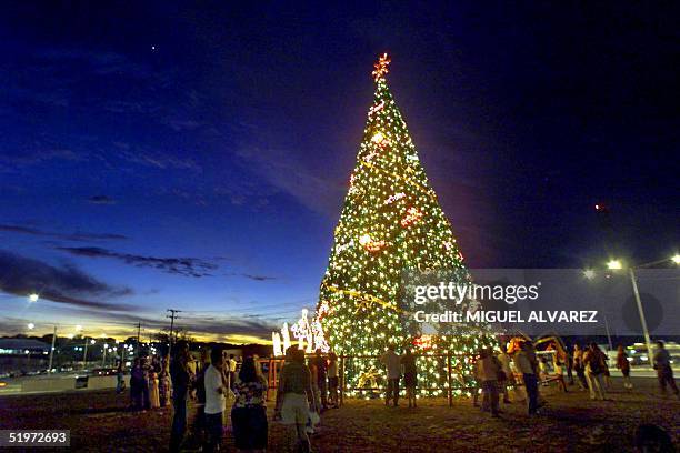 Hundreds of people walk close to Nicaraguan Christmas tree in Managua, 23 December 2000, a day before Christmas celebration. Cientos de personas se...