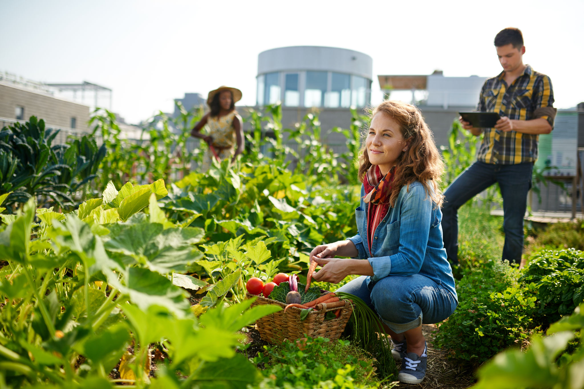 diverse crops