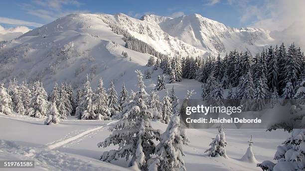 winter french belledonne mountain - chambéry fotografías e imágenes de stock