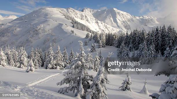 winter french belledonne mountain - chambéry foto e immagini stock