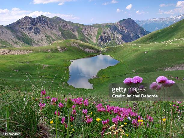queyras natural park , french mountain - gap france stock pictures, royalty-free photos & images