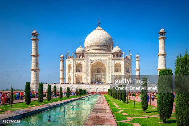 gardens of the taj mahal, agra, india - taj mahal stockfoto's en -beelden