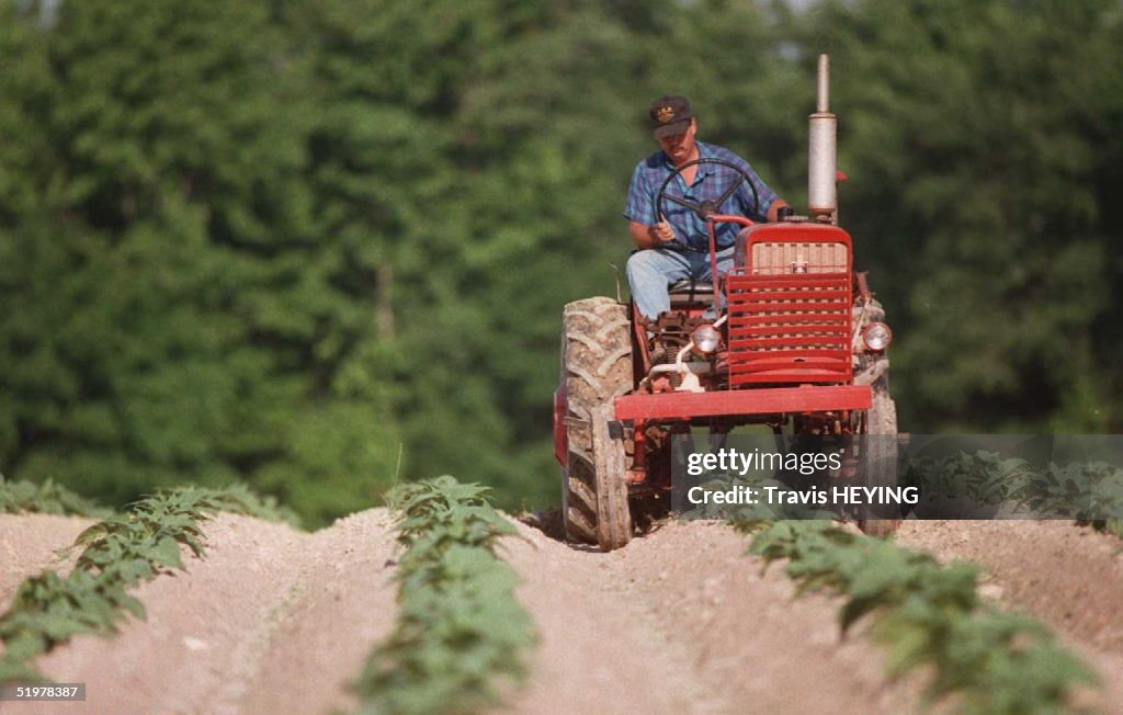 Johnny R Pope Johnny Pope cultivates a field on his tobbaco farm near Durham, NC 06 ...