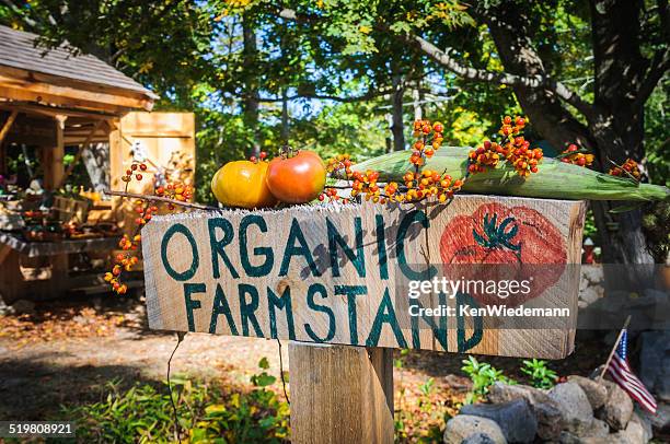 organic farm stand - bittersweet berry 個照片及圖片檔