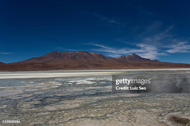 laguna salada, bolivia - salada 個照片及圖片檔