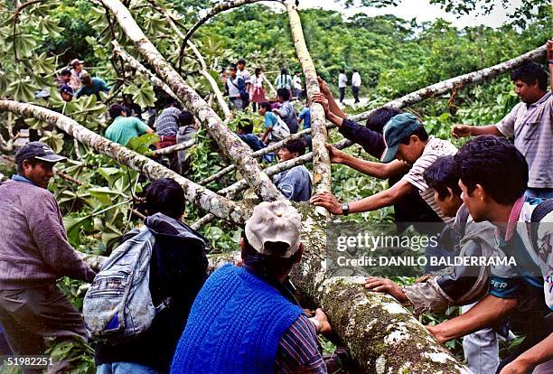 Coca farmers block the road from Cochabamba to Santa Cruz, Bolivia, 27 April 2001, as the dialogue with the government stopped. Cocaleros bloquean la...