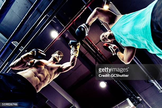 erfahrene boxershorts kämpfen im boxring - mixed martial arts stock-fotos und bilder