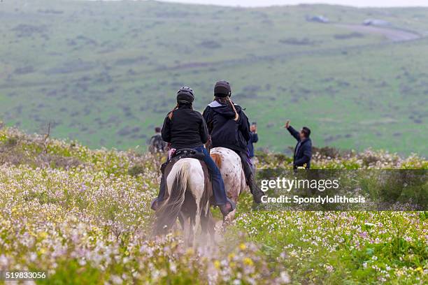 Horse Riding Point Reyes Point Reyes Ca Photos and Premium High Res Pictures - Getty Images