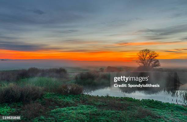 merced national wildlife refuge at sunrise, california, usa - central california stock pictures, royalty-free photos & images