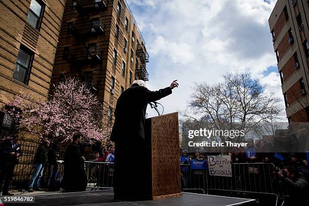 Democratic presidential candidate Sen. Bernie Sanders holds a rally outside his childhood home in Flatbush on April 8, 2016 in the Brooklyn borough...