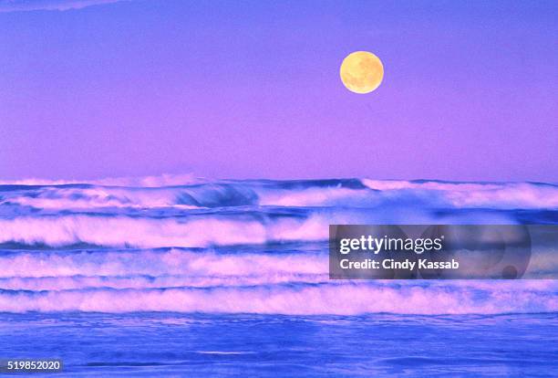 moon and surf - tide stock pictures, royalty-free photos & images