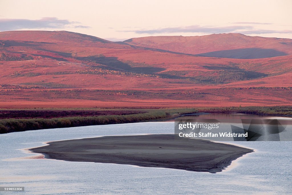 Red Tundra Landscape of Alaskan Arctic