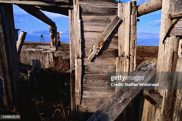 remains of gulag prison camp - gulag stock pictures, royalty-free photos & images