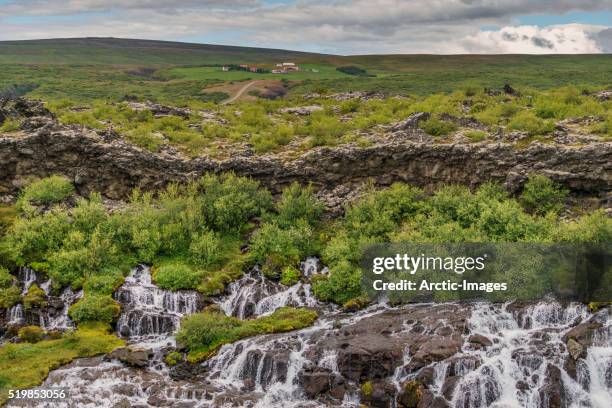 hraunfossar waterfalls, borgarfjordur, iceland - hraunfossar stock pictures, royalty-free photos & images