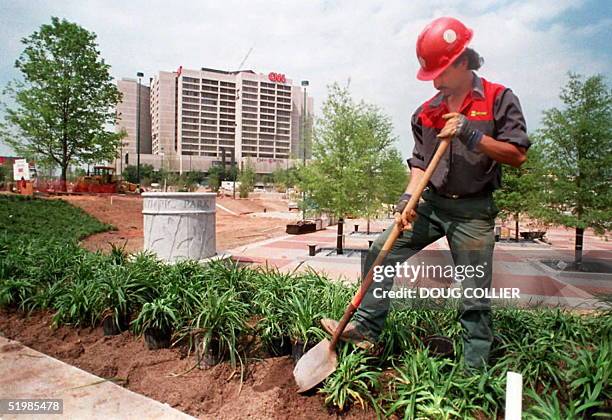 Israel Duran plants shrubs around the site of the Olympic Centennial Park in downtown Atlanta, Georgia 08 May. The 21 acre park will be the center of...