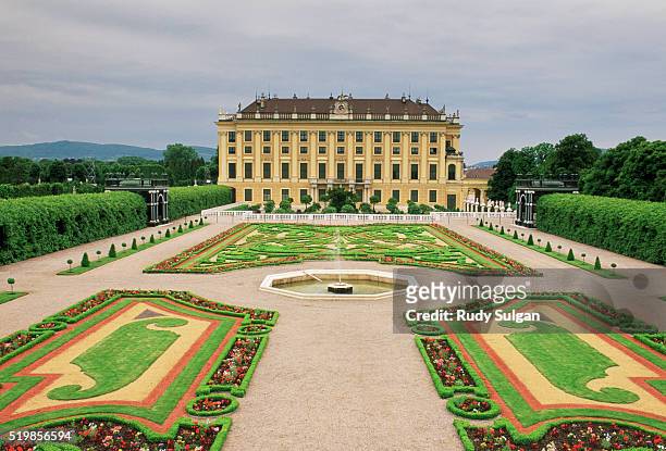 schonbrunn palace and gardens - schonbrunn palace stock pictures, royalty-free photos & images