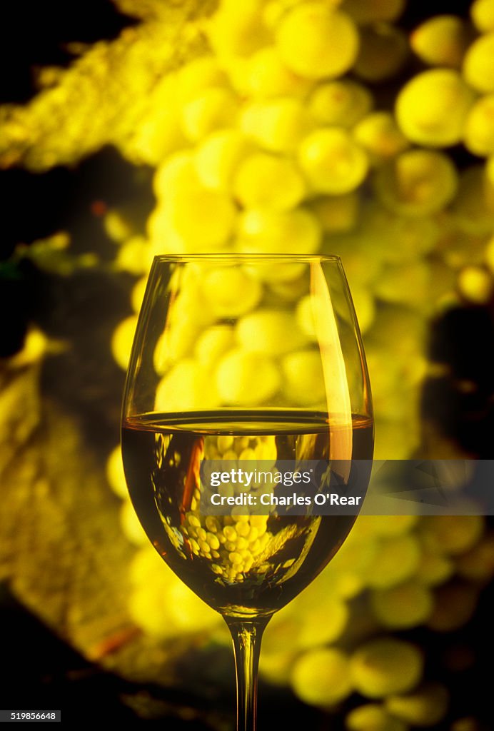 Close-up of Chardonnay in Wine Glass and Grapes