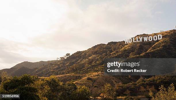 hollywood sign - hollywood hills los angeles stockfoto's en -beelden