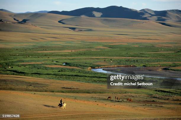 horses grazing in the orkhon valley - orkhon river stock pictures, royalty-free photos & images