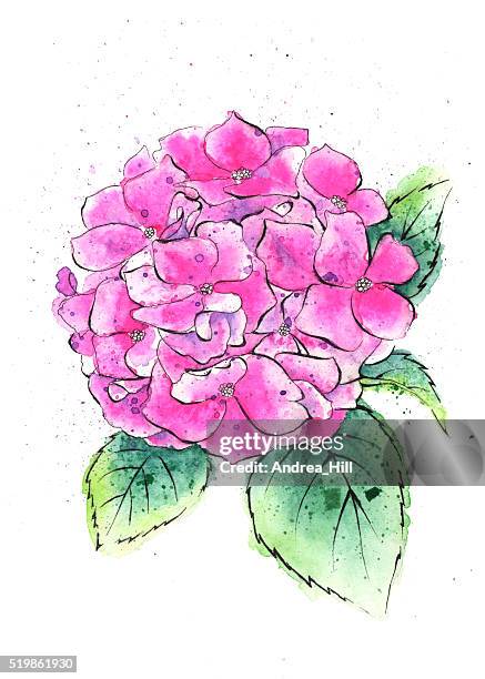 233点の紫陽花イラスト素材 Getty Images 233点の紫陽花イラスト素材 Getty Images