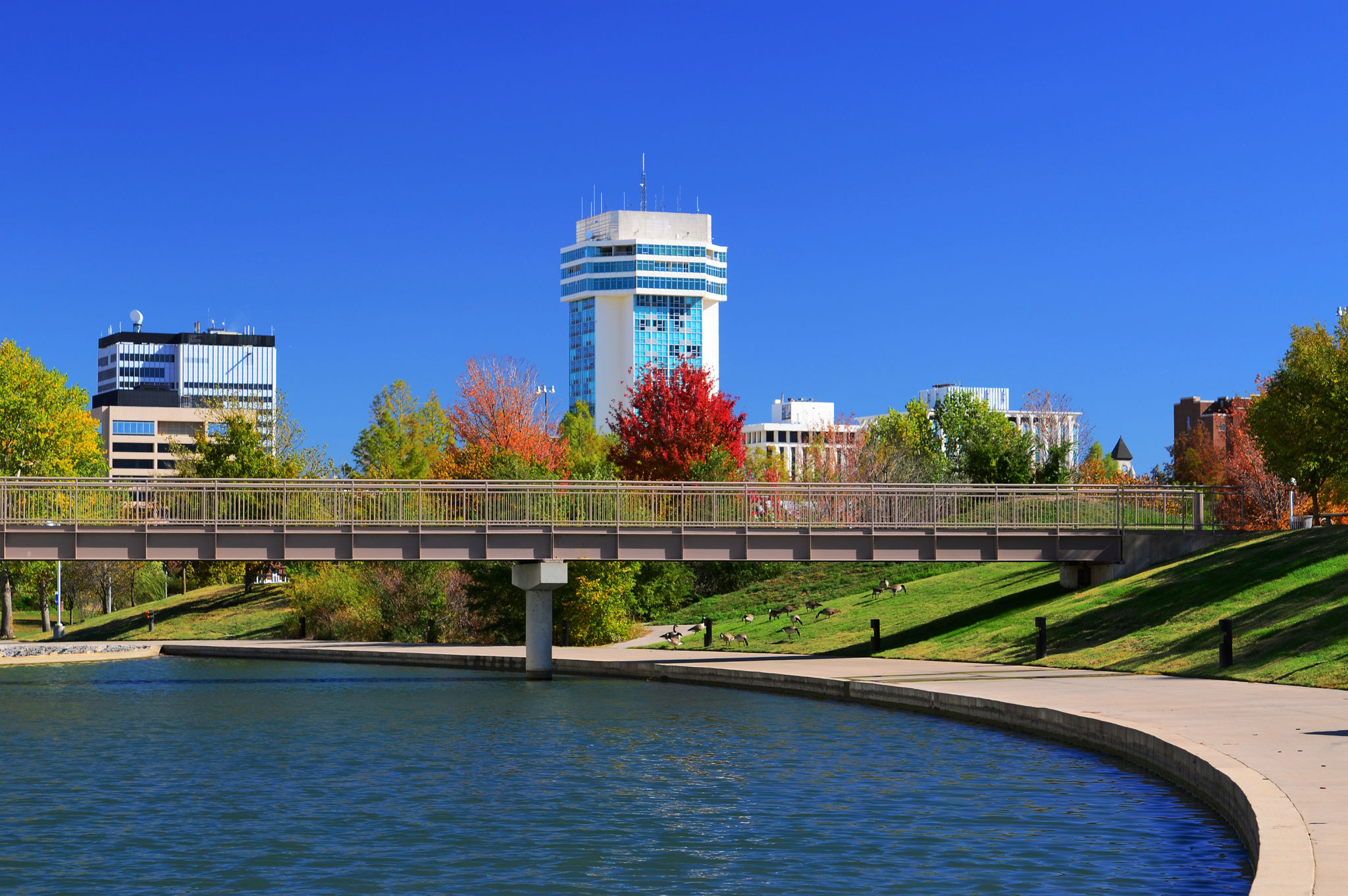 wichita park trees