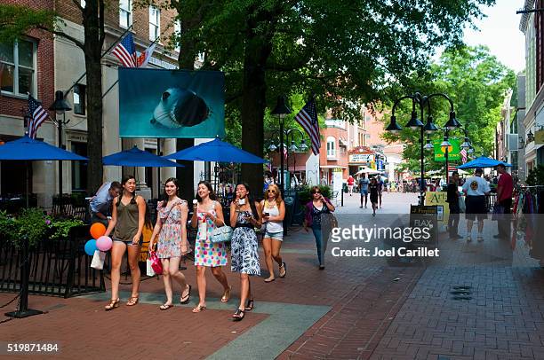 summer day in charlottesville, virginia - charlottesville stock pictures, royalty-free photos & images