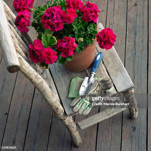 gardening tools and plant on rustic chair - gardening glove stock pictures, royalty-free photos & images