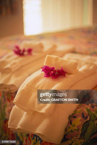 hand towels lying on bed - marsh harbour - fotografias e filmes do acervo