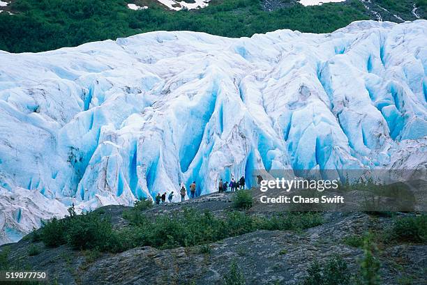 exit glacier - kenai fjords national park stock pictures, royalty-free photos & images