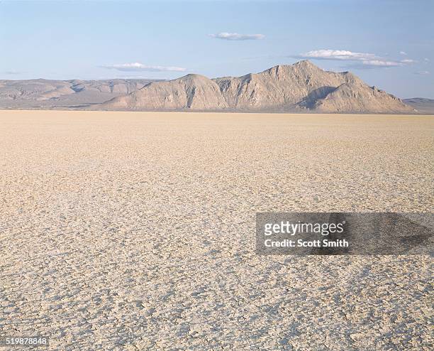 playa of the black rock desert - nevada foto e immagini stock