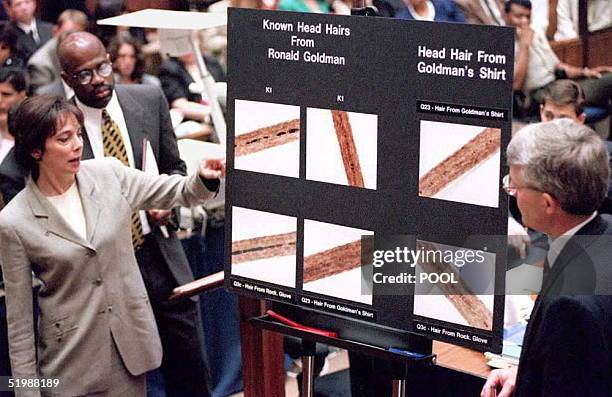 Lead prosecutor Marcia Clark and Christopher Darden and FBI agent Douglas Deedrick stand at a chart showing hair samples from Ronald Goldman during...