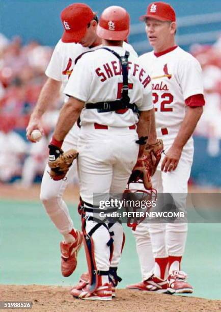 19 Danny Sheaffer Photos & High Res Pictures - Getty Images