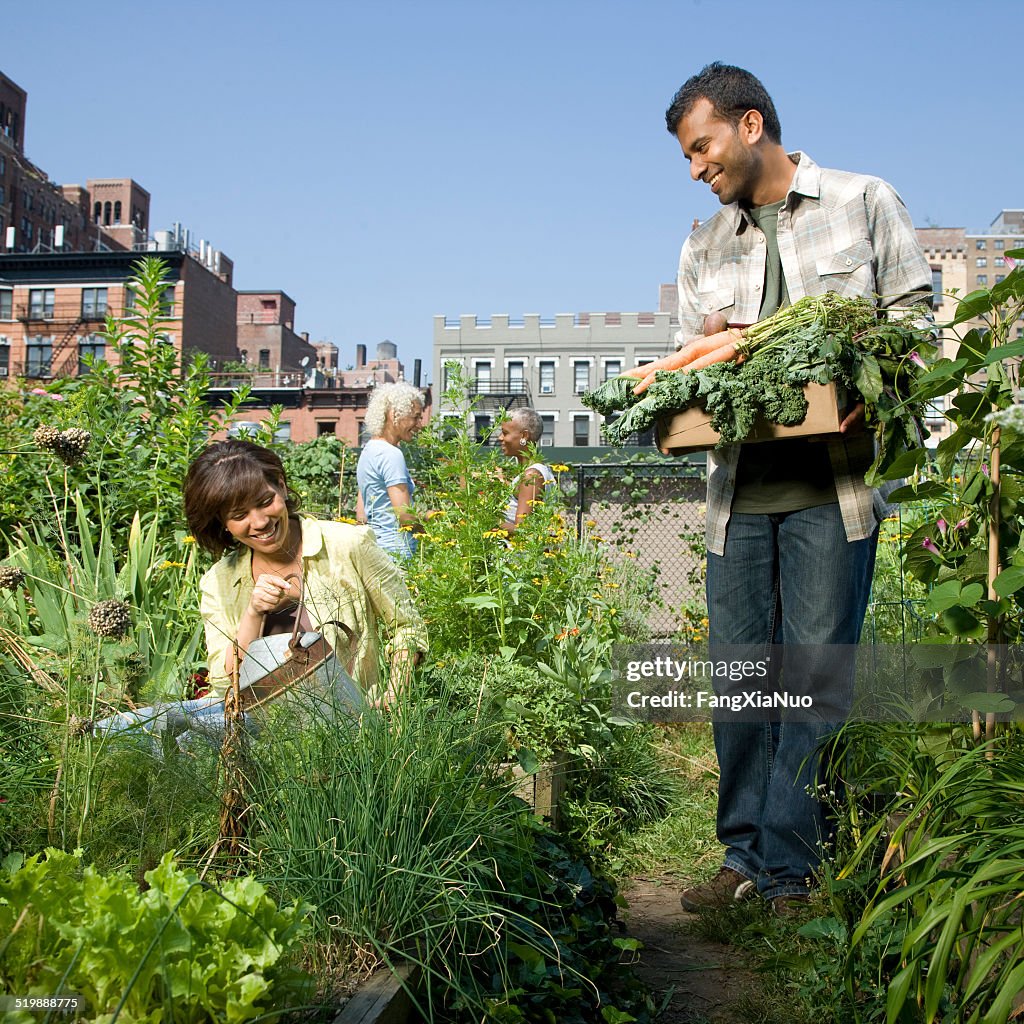 People working in a community garden