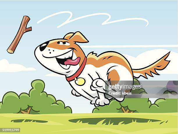 dog fetching stick - obedience training stock illustrations