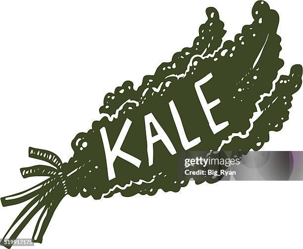 kale - kale stock illustrations