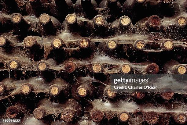 wine aging in cellar - cellier photos et images de collection