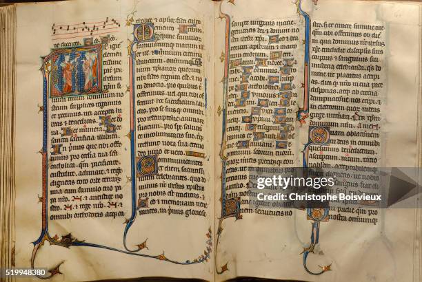 illuminated manuscript - medieval illuminated letter stock pictures, royalty-free photos & images